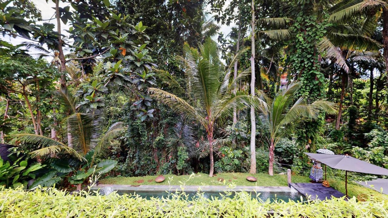 Six Cubes Ubud Hotel Exterior foto